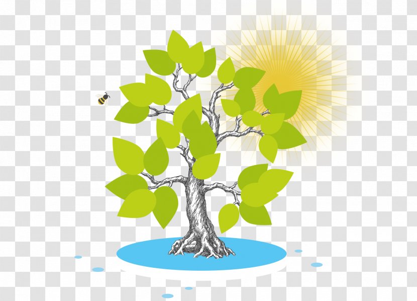 Green Leaf Background - Branch - Animation World Transparent PNG