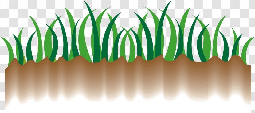 Grass Vector Material - Plant Stem - Artworks Transparent PNG