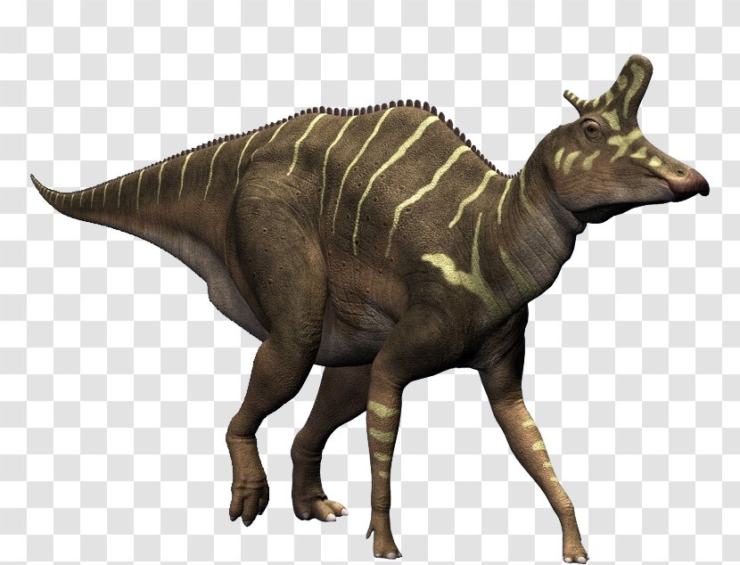 Lambeosaurus Dicraeosaurus Plateosaurus Corythosaurus Stegosaurus - Extinction - Dinosaurs Transparent PNG
