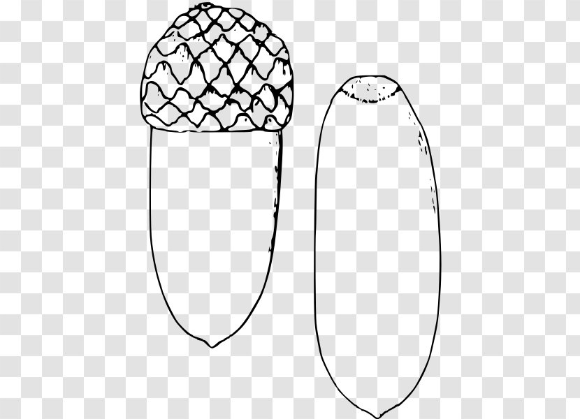 Headgear Line Art Pattern - Quercus Robur Transparent PNG