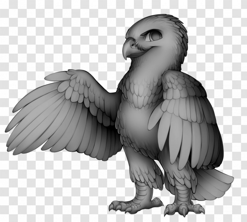 Eagle Bearded Vulture Bird Hawk - Neck Transparent PNG