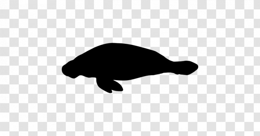 Sea Cows Animal Turtle - Carnivora - Mammal Transparent PNG
