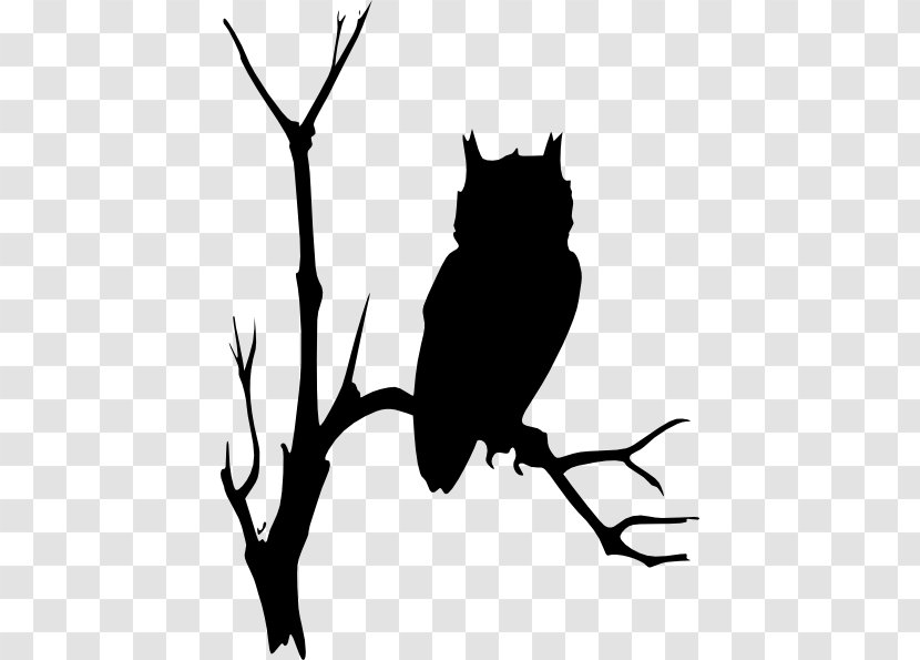 Owl Drawing Clip Art - Black - Tree Transparent PNG