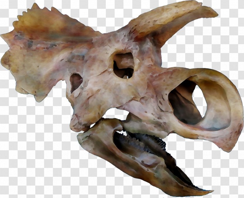 Bone Figurine - Jaw Transparent PNG
