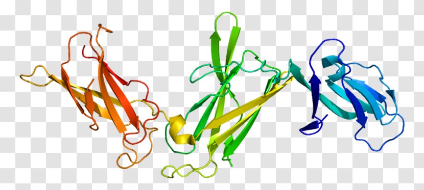 Interleukin 12 Receptor, Beta 1 Subunit Interleukin-12 23 Alpha - Protein - Area Transparent PNG