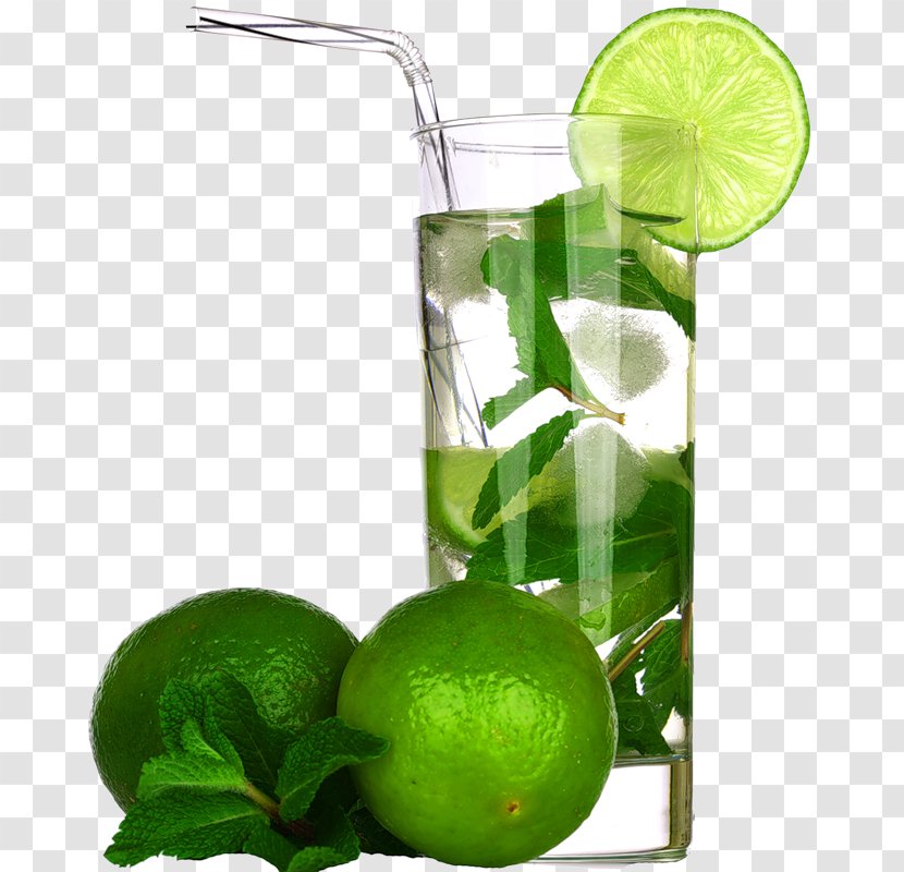 Mojito Juice Rum Vodka Cocktail - Lemonade Transparent PNG