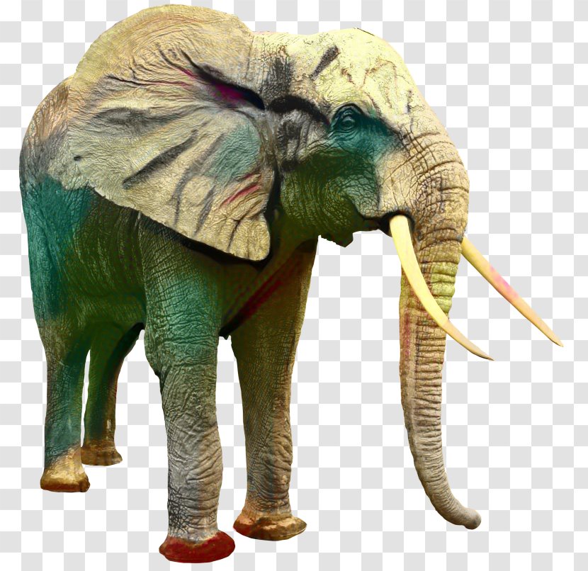 Asian Elephant Clip Art Image - Animal - Elephants And Mammoths Transparent PNG