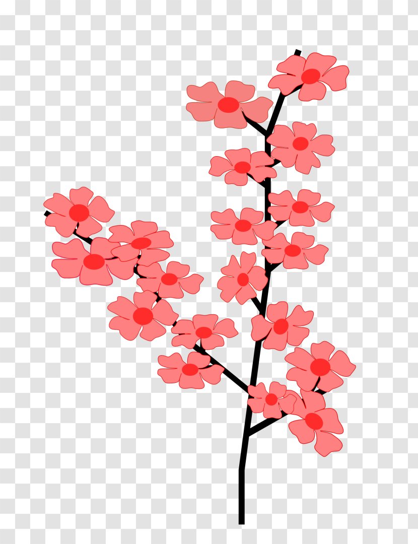 Cherry Blossom Branch Clip Art - Plant Transparent PNG