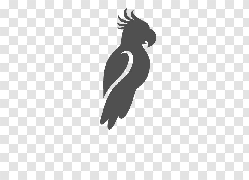 Beak Flightless Bird Logo Silhouette - Black M Transparent PNG