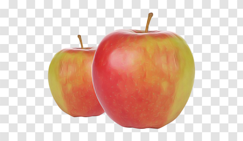 Mcintosh Red Elstar Golden Delicious Apple Jonagold Transparent PNG