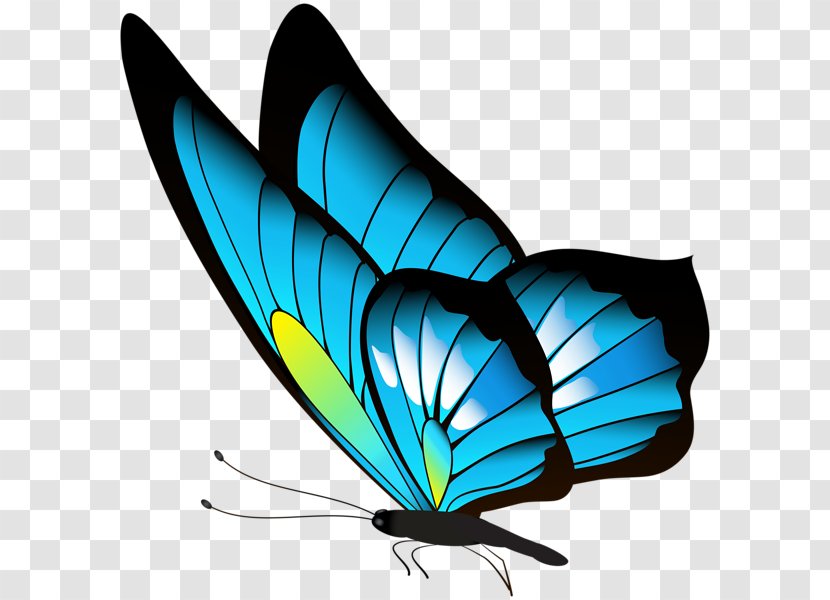 Butterfly Clip Art - Moths And Butterflies - Red Transparent PNG