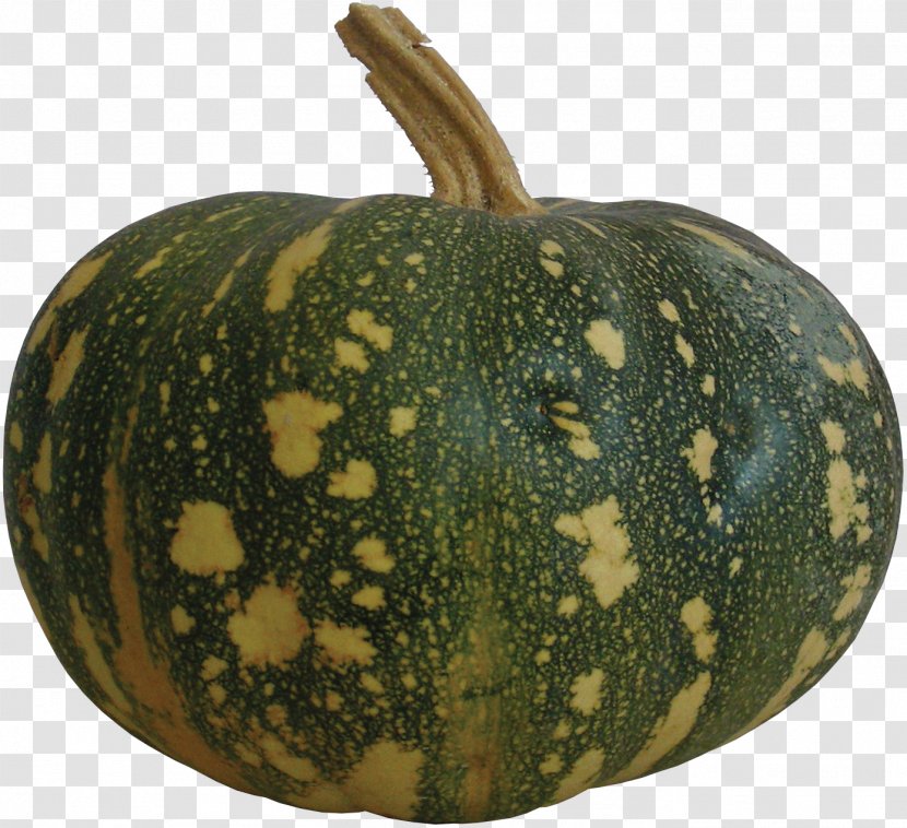 Pumpkin Figleaf Gourd Calabaza Melon Winter Squash Transparent PNG