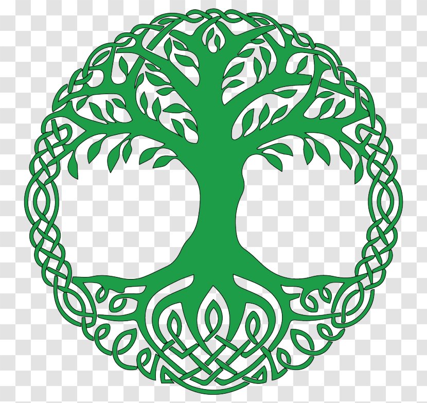 Tree Of Life Symbol Yggdrasil Image - Immortality Transparent PNG