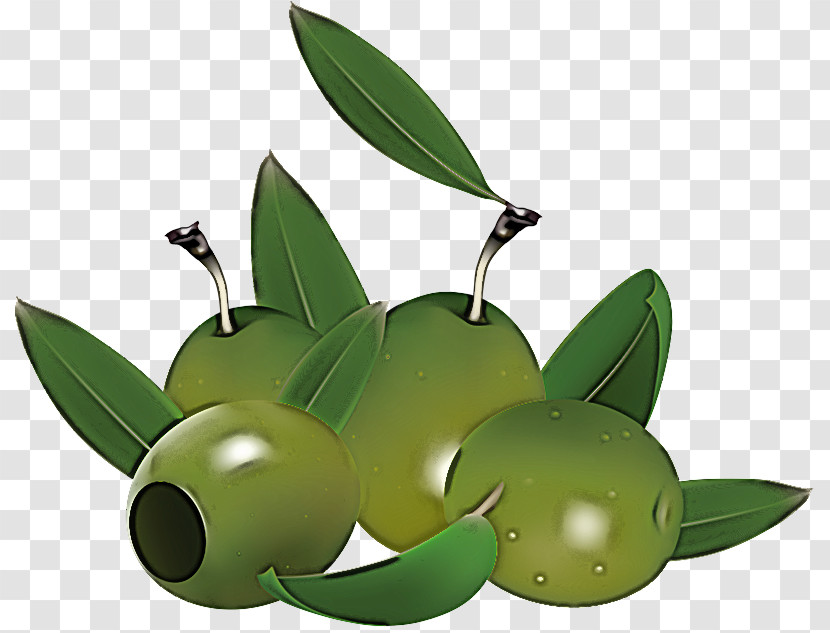 Leaf Fruit Green Plant Olive Transparent PNG