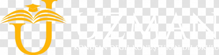 Logo Brand Font - Text - Computer Transparent PNG