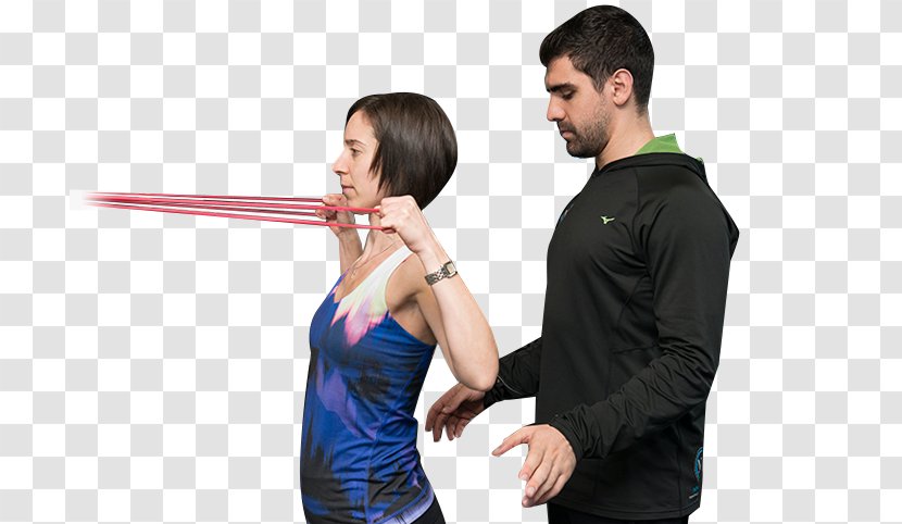 Exercise Physiology New Image Personal Training Shoulder - American Society Of Physiologists Transparent PNG
