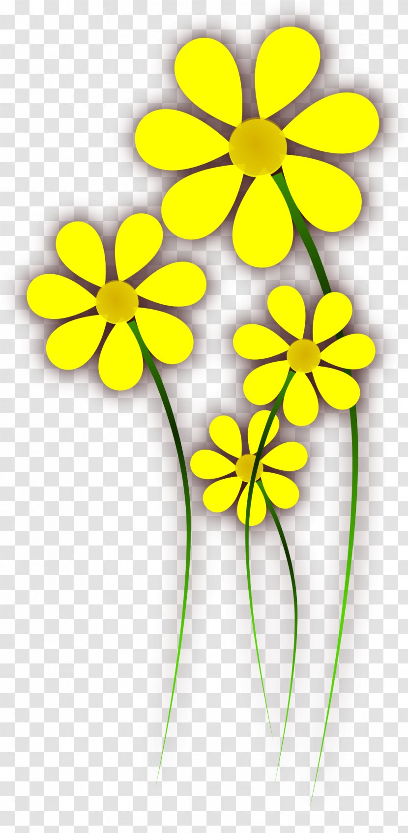 Flower Yellow Common Daisy Clip Art - Royaltyfree Transparent PNG