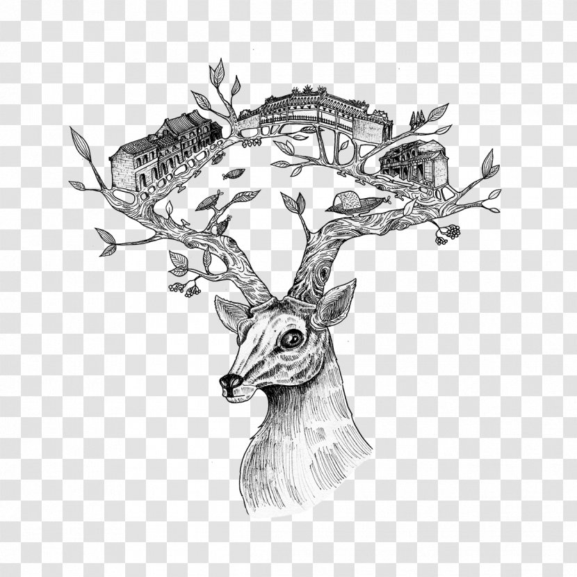 Reindeer Visual Arts Horse Sketch Antler - Vertebrate Transparent PNG