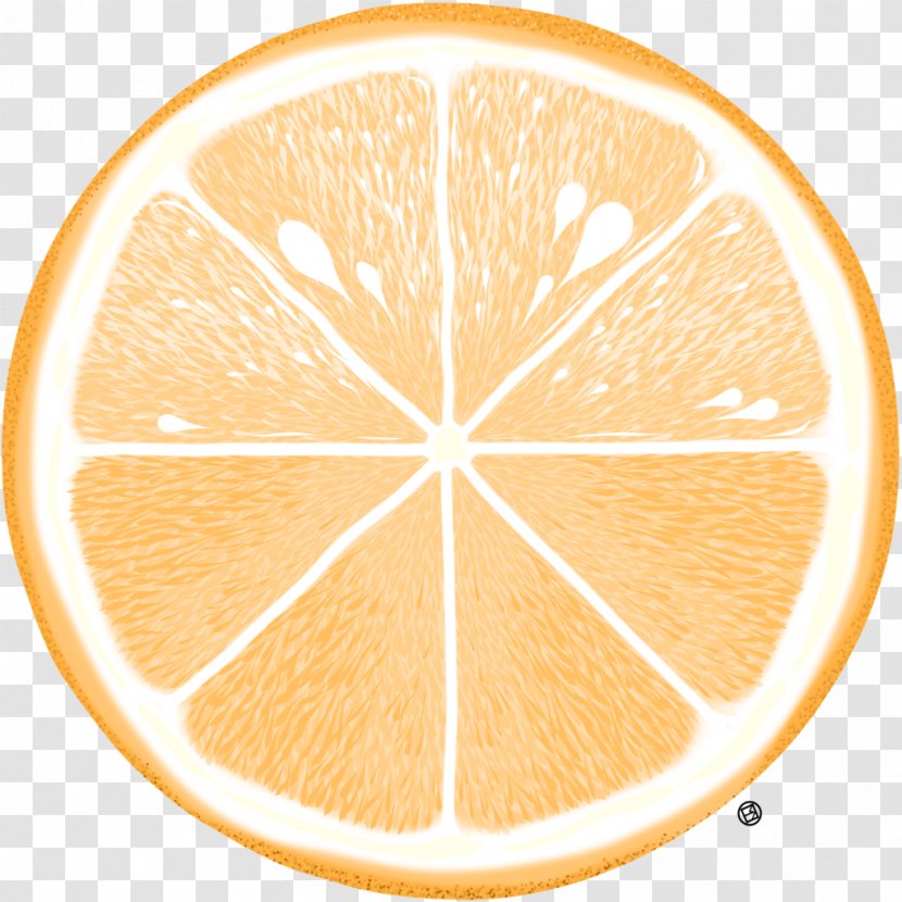 Grapefruit Lemon Citric Acid Circle - Citrus Transparent PNG