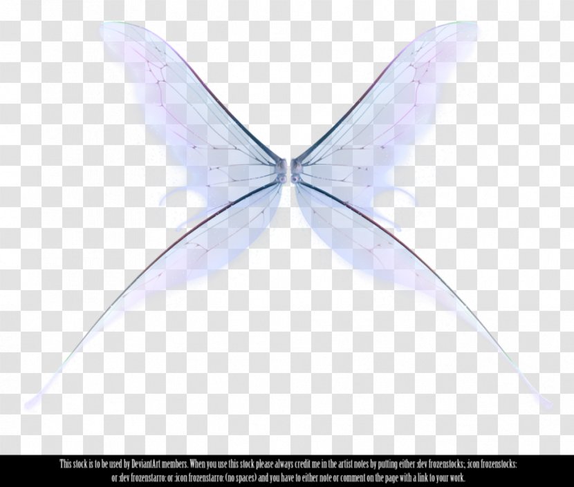 Fairy Butterfly Wing - Information - Wings Transparent PNG