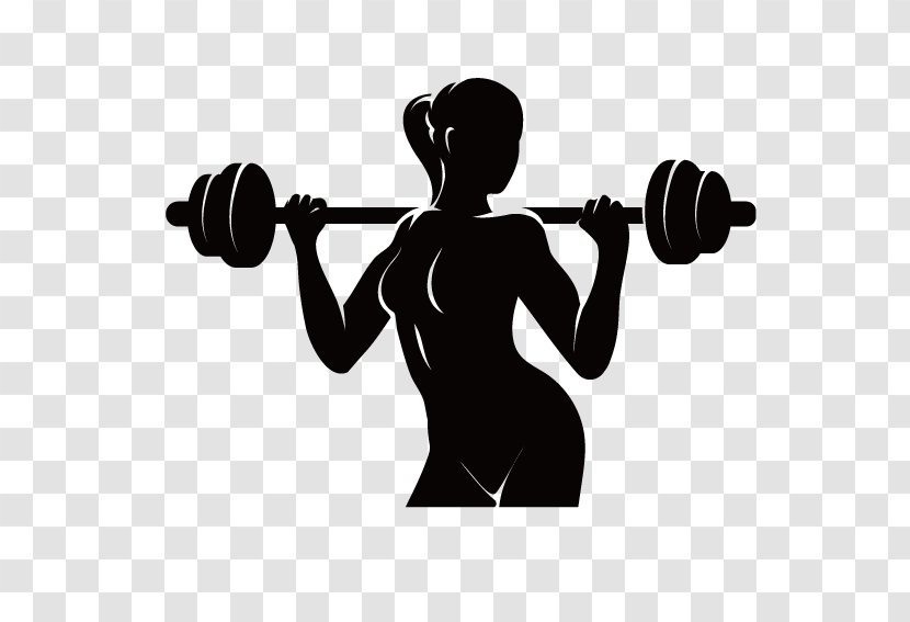 Physical Fitness Logo Centre - Dumbbell - Women's Weightlifting Transparent PNG