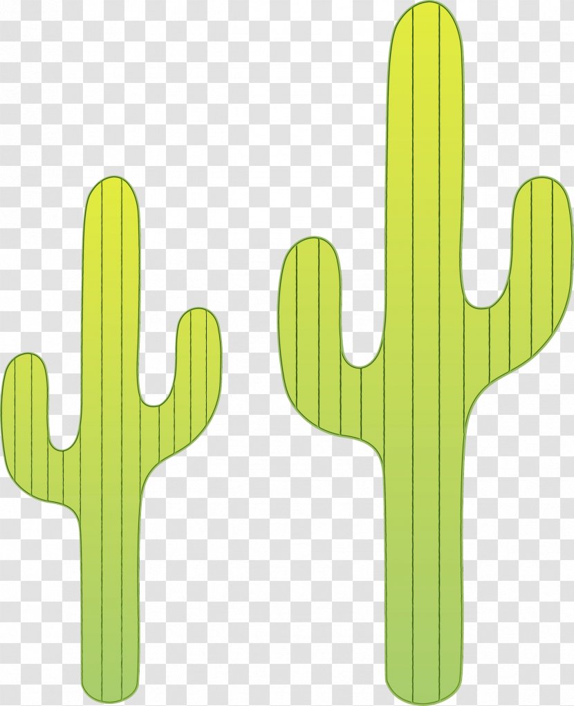 Cactus Cartoon - Symbol - Hedgehog Transparent PNG