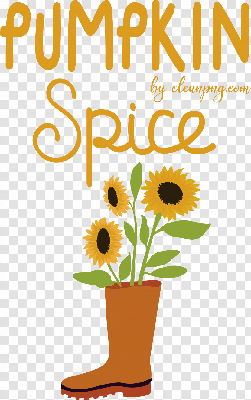 Common Sunflower Drawing Flower Painting Seed Transparent PNG