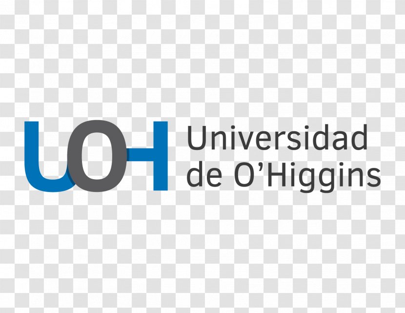 Pontificia Universidad Católica Del Ecuador University Of La Laguna Magallanes Los Lagos - Number - O'higgins Family Transparent PNG