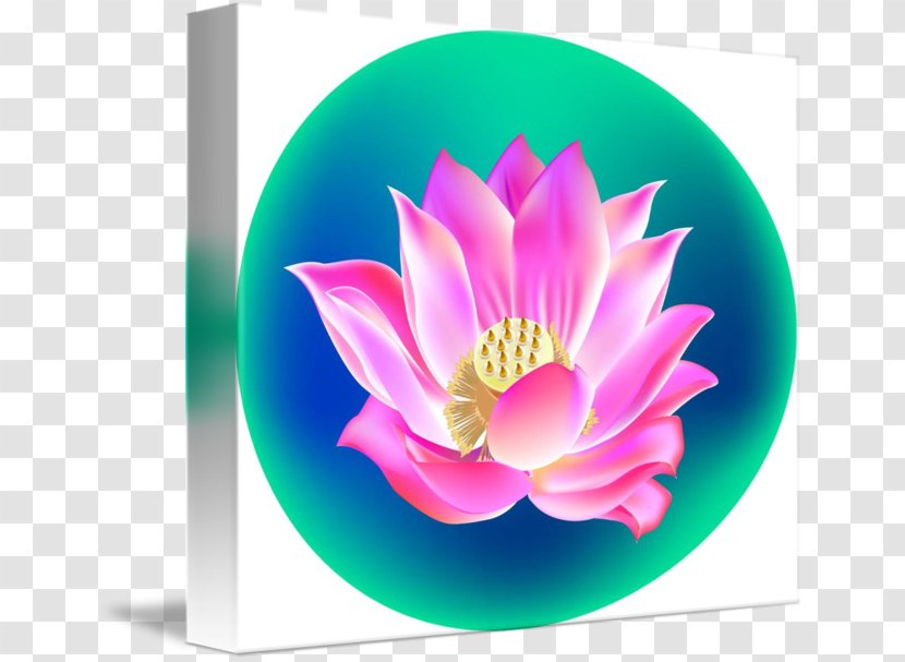 Nelumbo Nucifera Desktop Wallpaper Chinese New Year Computer Petal - Pink M Transparent PNG