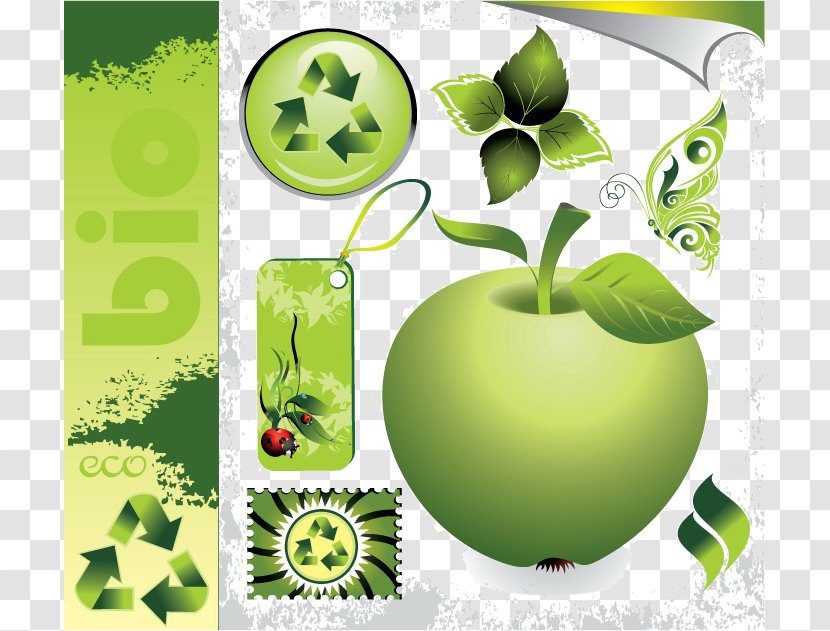 Ecology Euclidean Vector Green Photography - Royaltyfree - Environmental Living Apple Image Transparent PNG