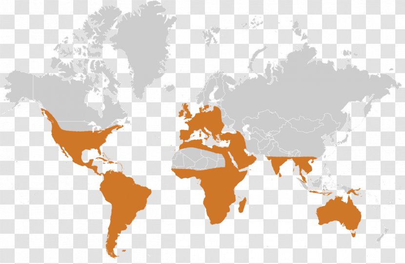 World Map United States - Institute Of Internal Auditors Transparent PNG