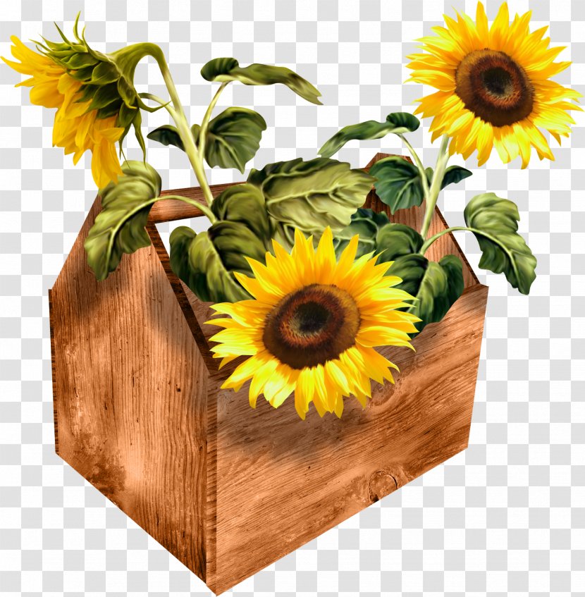 Drawing Clip Art - House - Sunflower Transparent PNG