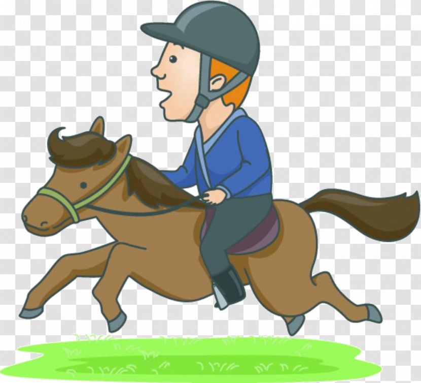 Horse Equestrian Cartoon Illustration - Dressage - Man Riding Material Transparent PNG