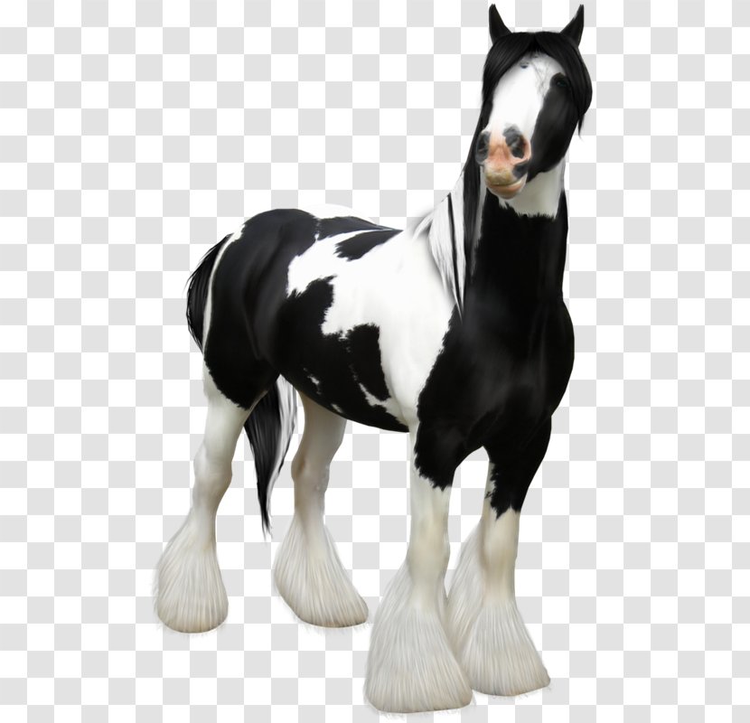 Horse Black And White - Tack - Aaa Transparent PNG