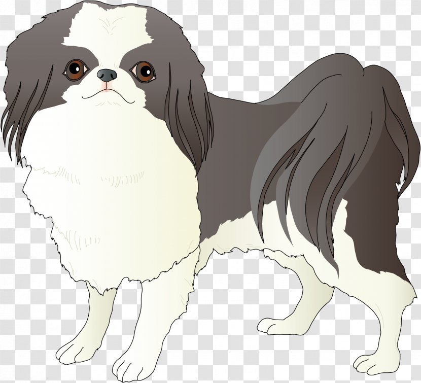 Japanese Chin Dog Breed Companion Spaniel Toy - A Drum Transparent PNG