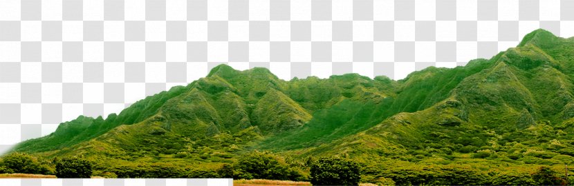 Peak Mountain Gratis - Tree Transparent PNG