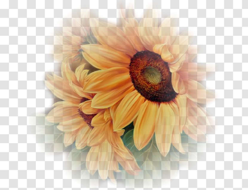 Centerblog Flower - Daisy - Floral Pattern Painting Flowers Transparent PNG