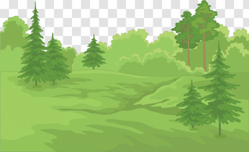 Forest Stock Illustration - Green - Vector Painted Deep Transparent PNG