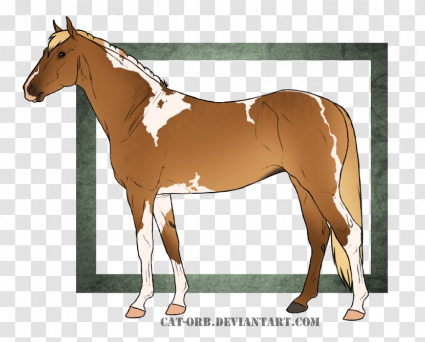Foal Mane Stallion Mare Bridle - Horse Auction Transparent PNG