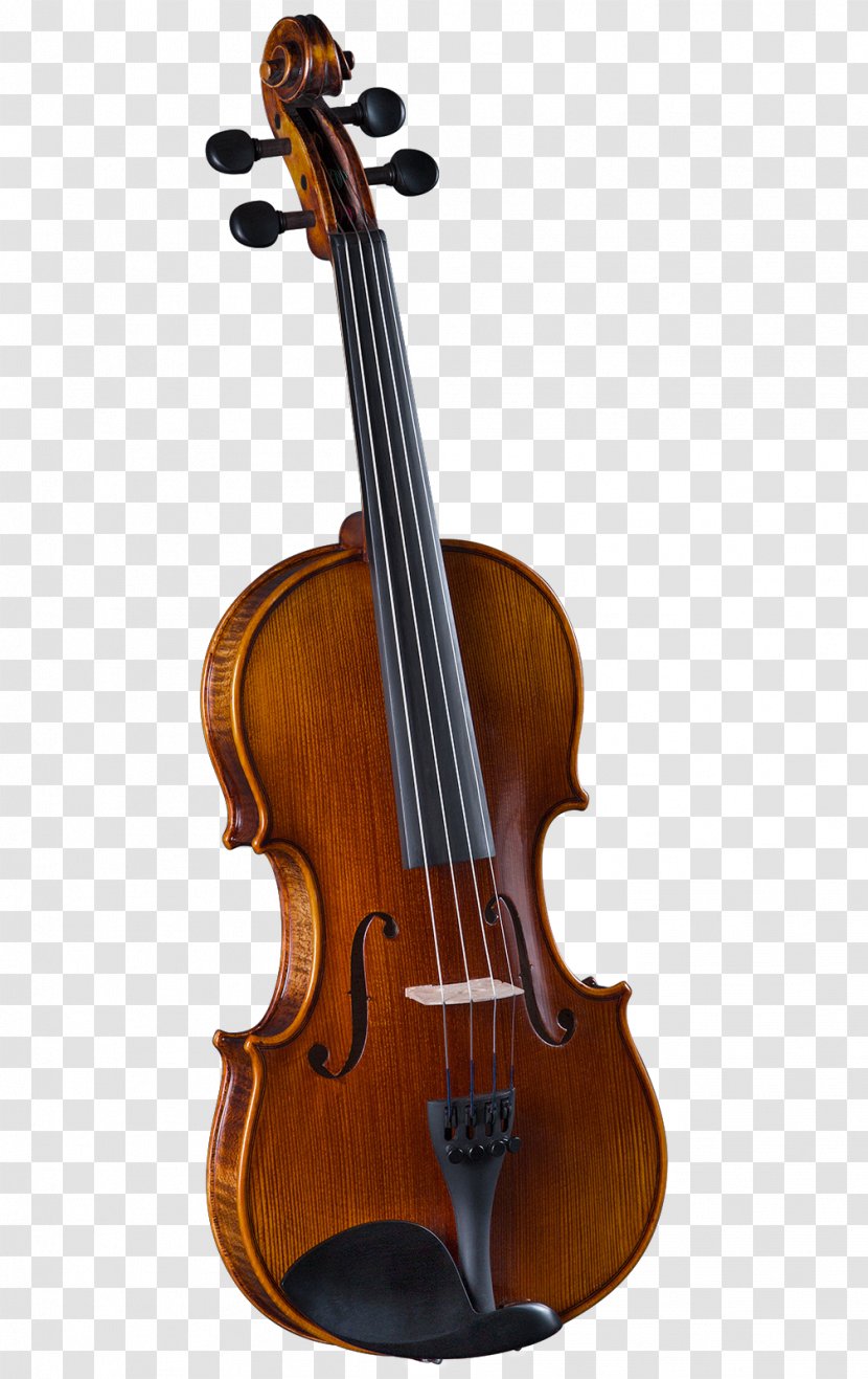 Cremona Violin Chinrest Musical Instruments String - Flower Transparent PNG