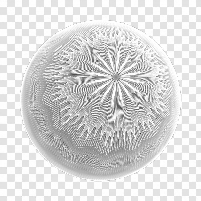 White - Tableware - Design Transparent PNG