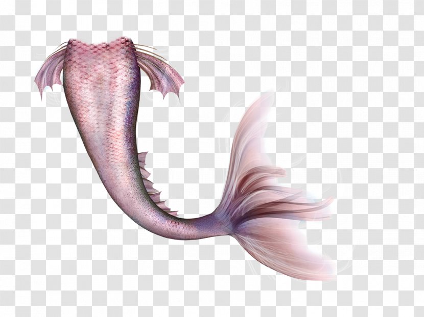 Mermaid Legendary Creature Fairy Tail Transparent PNG