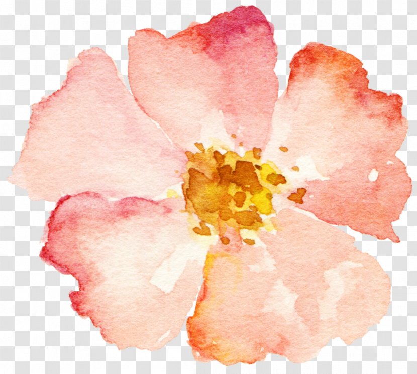 Flower Pink - Flowering Plant - Hand-painted Watercolor Transparent PNG