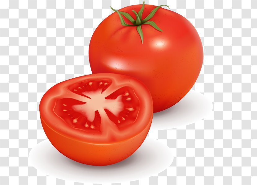 Tomato Juice Vegetable Clip Art - Nightshade Family - Vector Transparent PNG