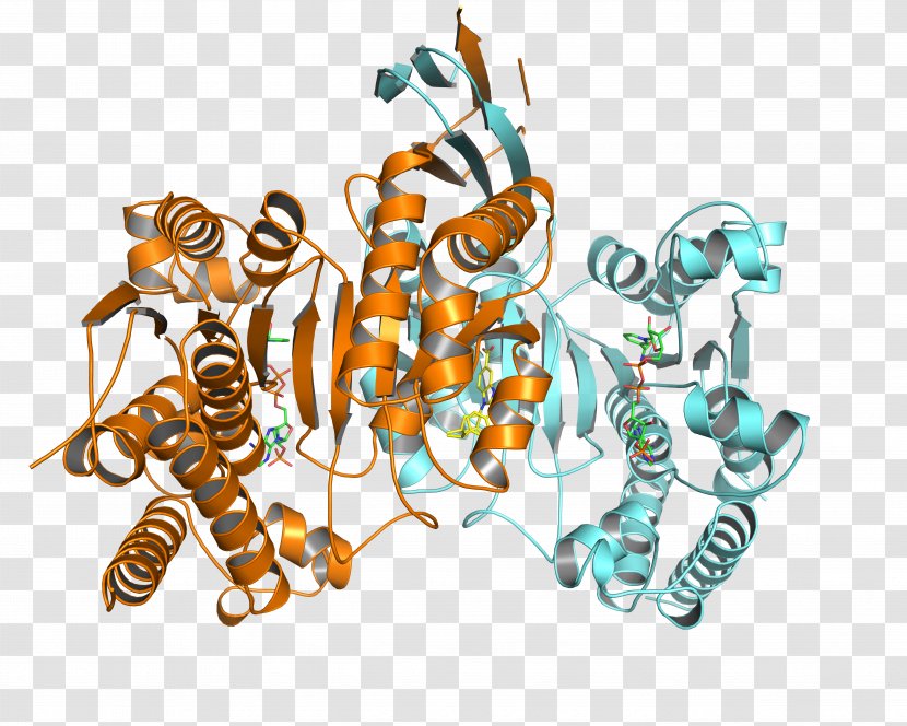 German Cancer Research Center Leukemia Mutation - Isocitrate Dehydrogenase - Biotechnology Transparent PNG