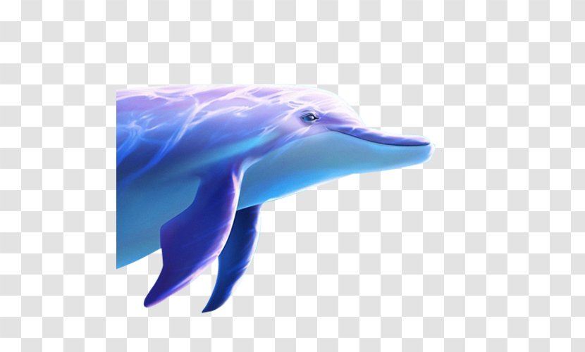 Common Bottlenose Dolphin Wholphin Short-beaked Tucuxi Spinner - Blue - Whale Transparent PNG