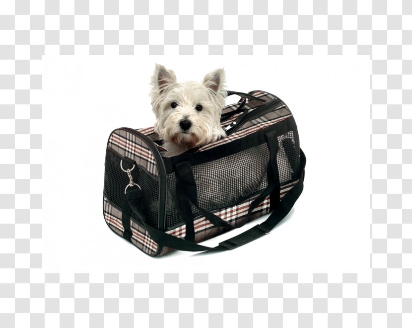 Dog Lucas Y Lola Handbag Cat - Transport - British Style Transparent PNG
