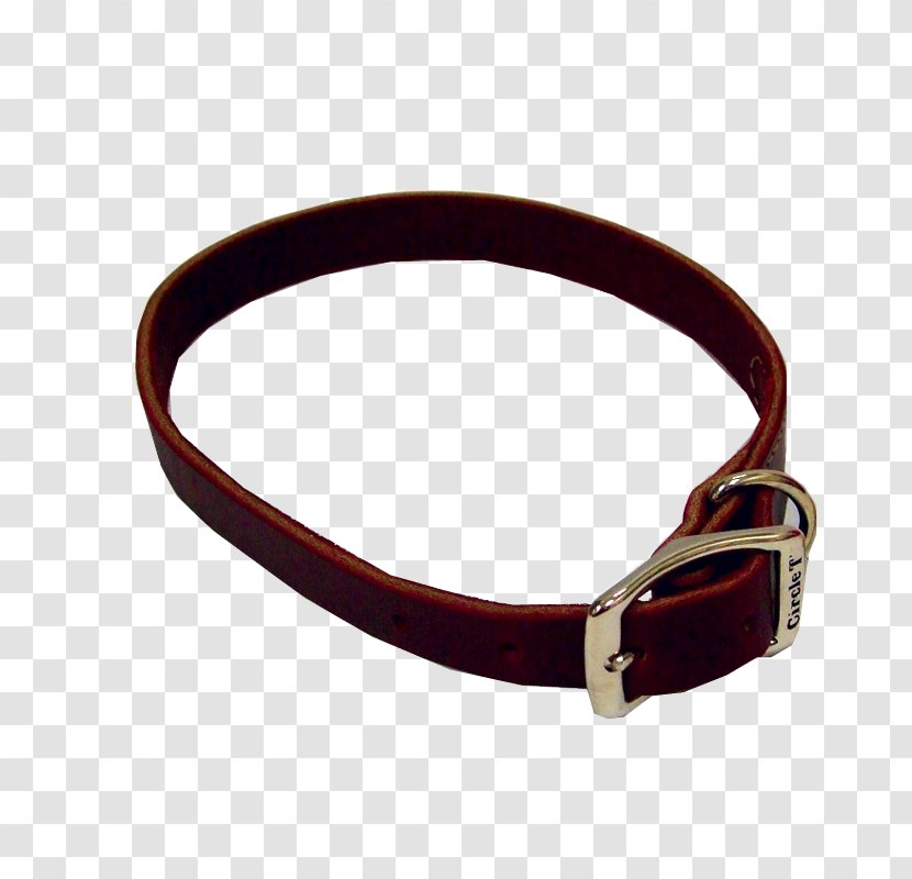 Belt Buckles Dog Collar - Red Transparent PNG
