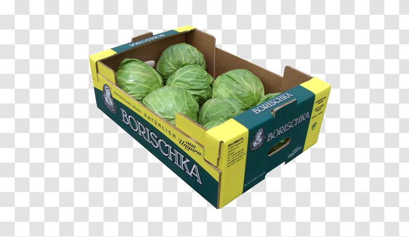 Greenhouse Cabbage Plastic Vegetable - Bacs - A Variety Of Chinese Transparent PNG