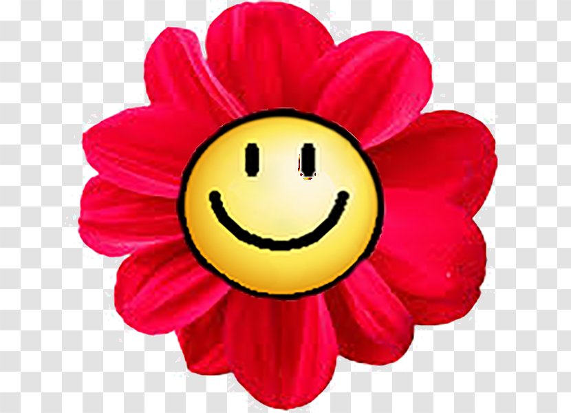 Smiley Flower Sticker Clip Art - Color Transparent PNG